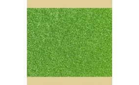 Wild Grass brght Green 50g