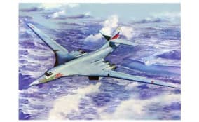 Самолет Ту-160